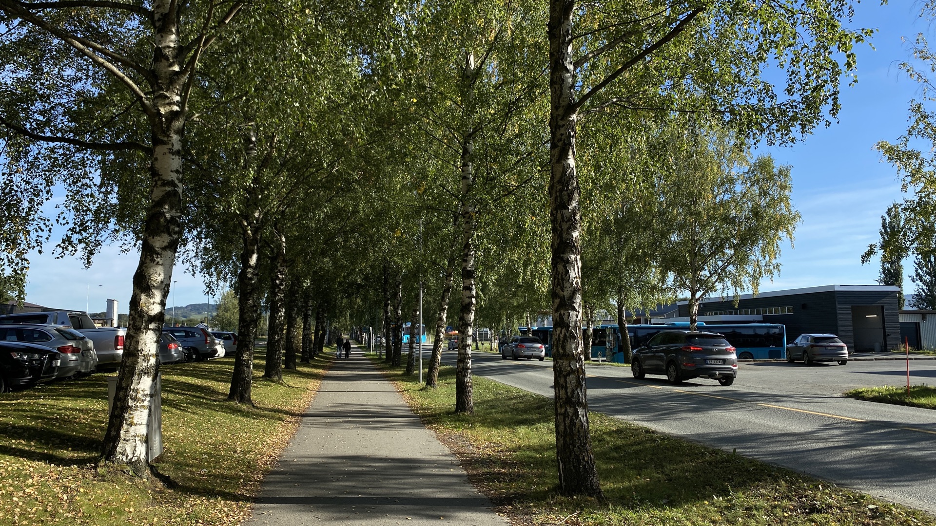 Historien om Stiklestadalleen